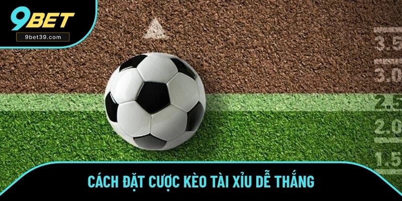 Cách đặt cược kèo tài xỉu dễ thắng Cách đặt cược kèo tài xỉu dễ thắng