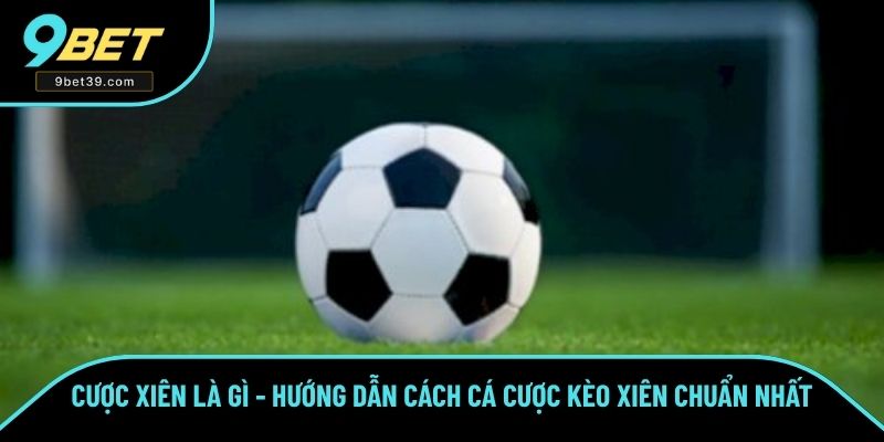 Cược Xiên Là Gì - Hướng Dẫn Cách Cá Cược Kèo Xiên Chuẩn Số 1