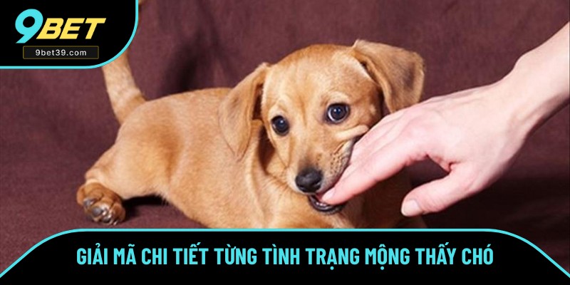 Từng tình huống chi tiết trong giấc mộng Từng tình huống chi tiết trong giấc mộng