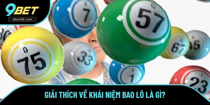 Giải thích về khái niệm bao lô là gì? Giải thích về khái niệm bao lô là gì?