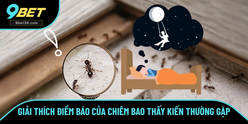 Khám phá điềm báo khi mộng thấy kiến Khám phá điềm báo khi mộng thấy kiến