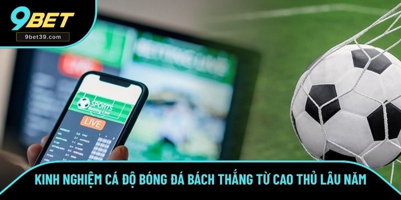 Kinh Nghiệm Cá Độ Bóng Đá Bách Thắng Từ Cao Thủ 9BET