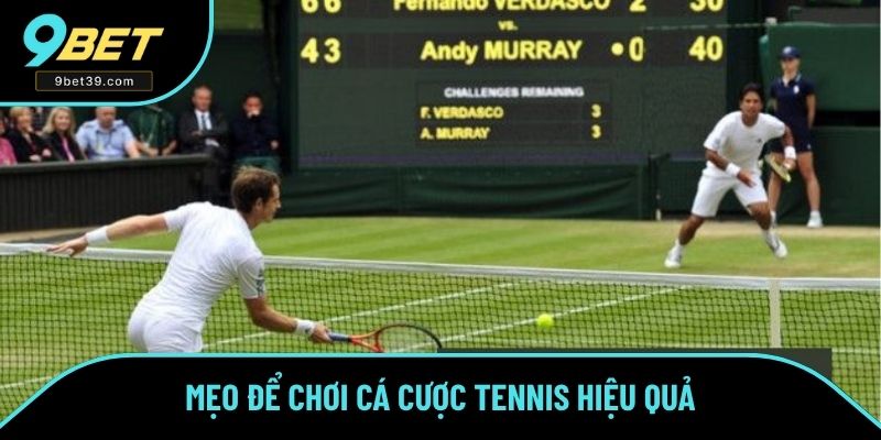 Mẹo để chơi cá cược tennis hiệu quả Mẹo để chơi cá cược tennis hiệu quả