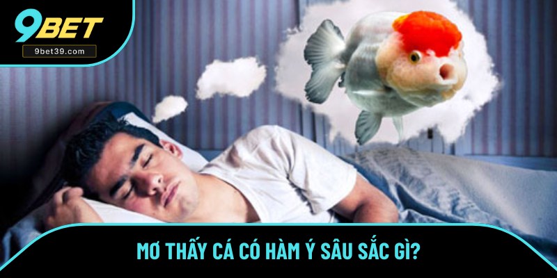 Khám phá chung về giấc mơ thấy cá Khám phá chung về giấc mơ thấy cá