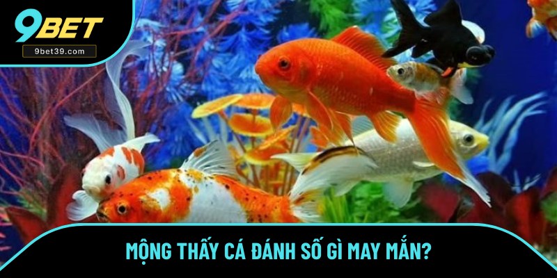Giấc mộng tương ứng với con số dễ trúng Giấc mộng tương ứng với con số dễ trúng