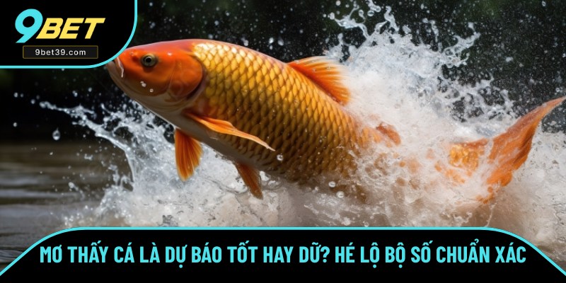 Mơ Thấy Cá Là Dự Báo Tốt Hay Dữ? Hé Lộ Bộ Số Chuẩn Số 1