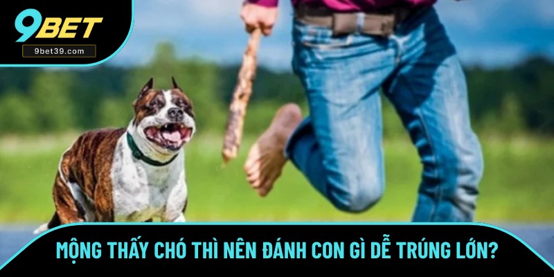 Các con lô phù hợp với từng giấc mộng Các con lô phù hợp với từng giấc mộng