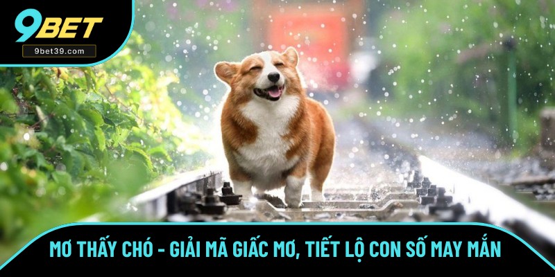Mơ Thấy Chó - Giải Mã Giấc Mơ, Tiết Lộ Con Số May Mắn Nhất