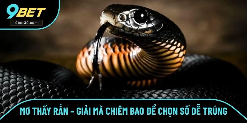 Mơ Thấy Rắn – Giải Mã Chiêm Bao Để Chọn Số Dễ Trúng Nhất