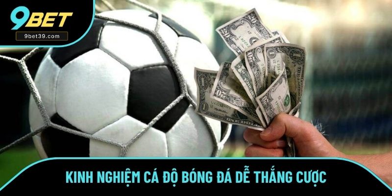 Kinh nghiệm cá độ bóng đá dễ thắng cược Kinh nghiệm cá độ bóng đá dễ thắng cược